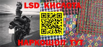 эйфоретик Краснодар
