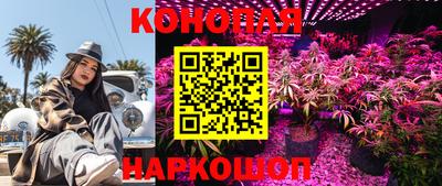эйфоретик Краснодар