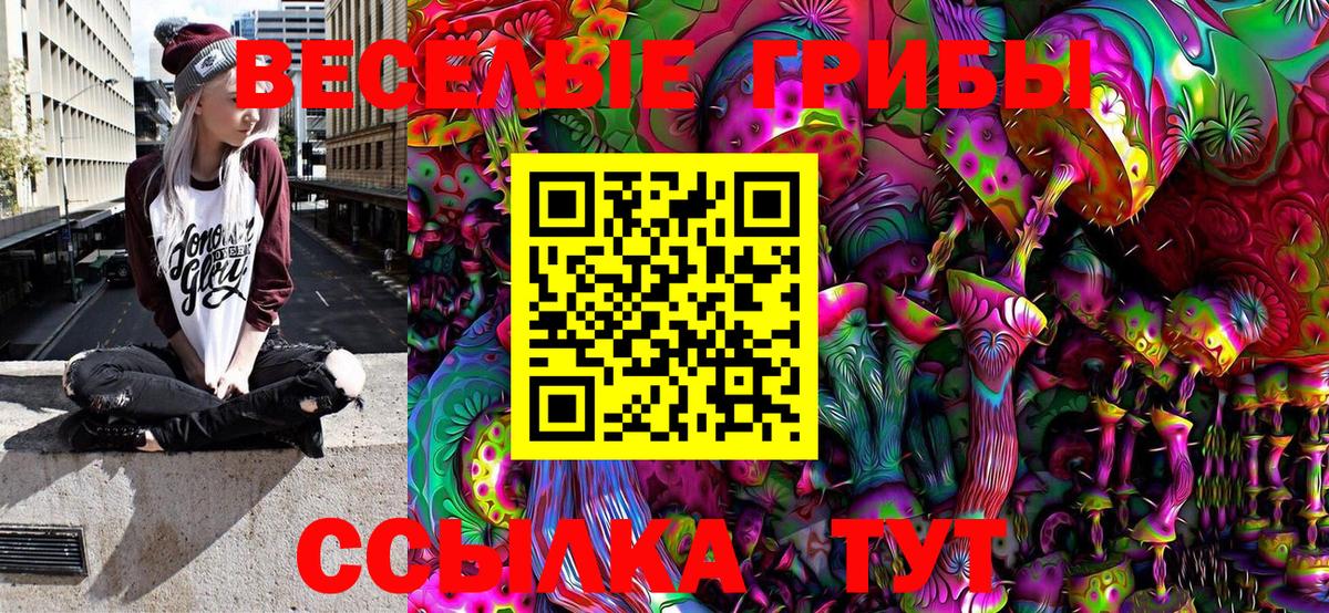 Галлюциногенные грибы MAGIC MUSHROOMS Карачаевск