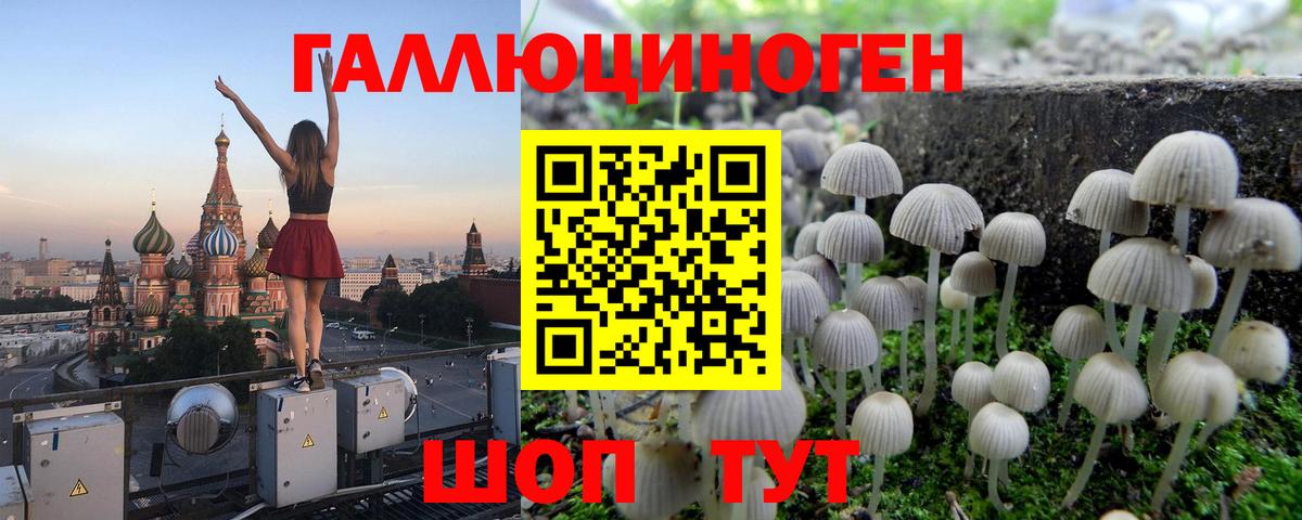 Псилоцибиновые грибы ЛСД  Галлюциногенные грибы Magic Shrooms  Вход с VPN  Карачаевск 